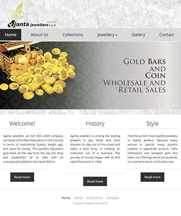 Ecommerce website development