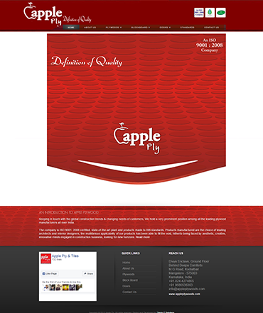 Ecommerce website development