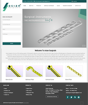 Ecommerce website development
