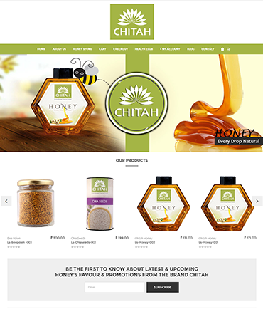 Ecommerce website development