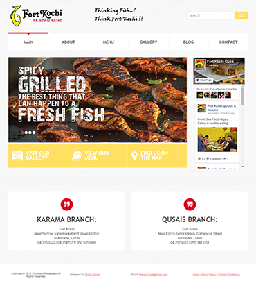 Ecommerce website development