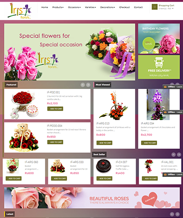 Ecommerce website development