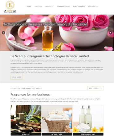 Ecommerce website development