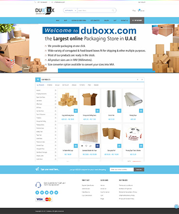 Ecommerce website development